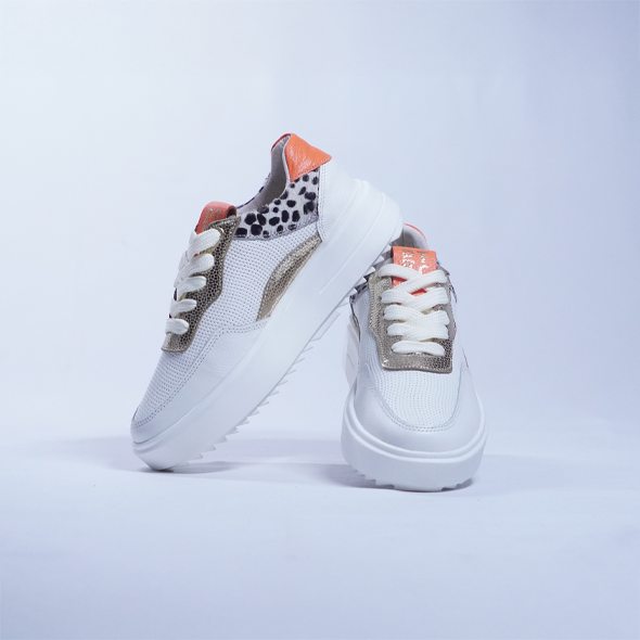 SAFARI.